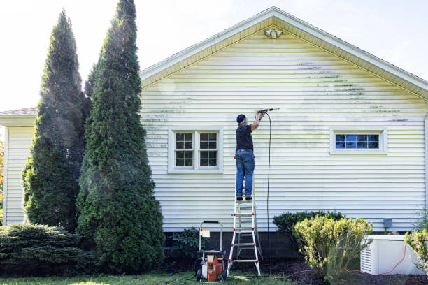 Best Exterior Home Cleaning  in Ipswich, SD