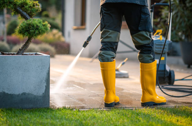 Best House Pressure Washing  in Ipswich, SD